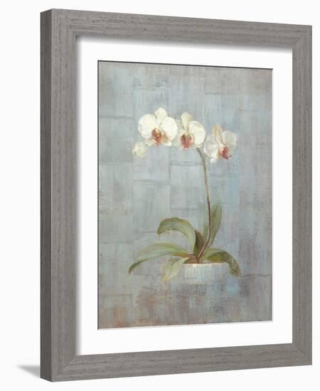 Elegant Orchid II-Danhui Nai-Framed Art Print