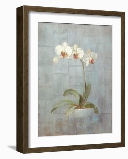 Elegant Orchid II-Danhui Nai-Framed Art Print