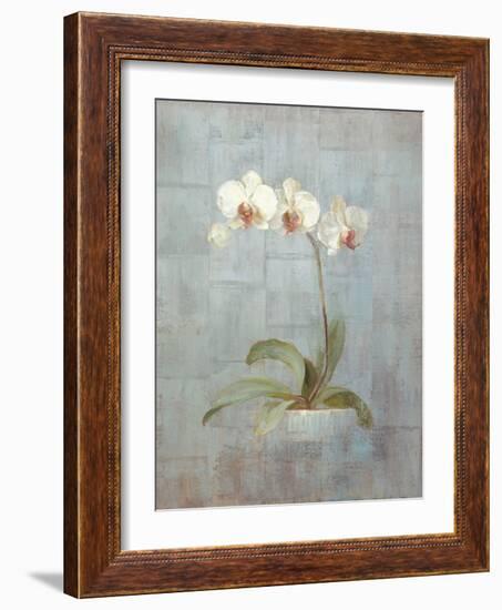 Elegant Orchid II-Danhui Nai-Framed Art Print