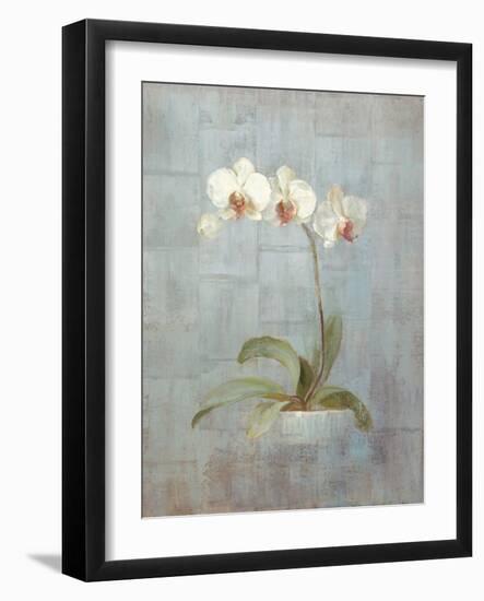 Elegant Orchid II-Danhui Nai-Framed Art Print