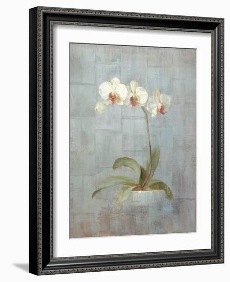 Elegant Orchid II-Danhui Nai-Framed Art Print