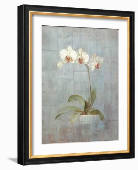 Elegant Orchid II-Danhui Nai-Framed Art Print