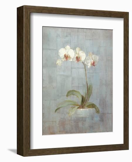 Elegant Orchid II-Danhui Nai-Framed Premium Giclee Print