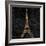 Elegant Paris Gold III-Linda Baliko-Framed Art Print