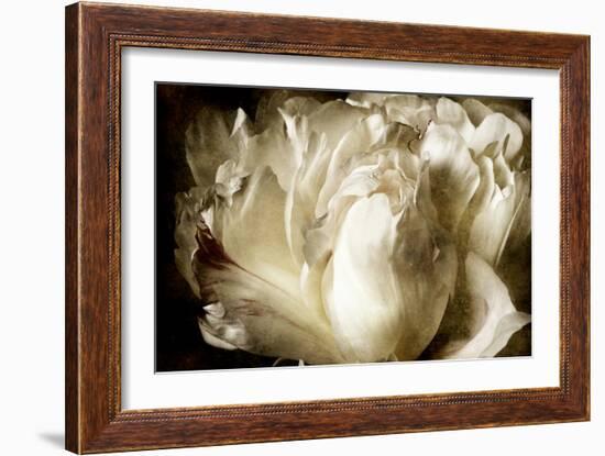 Elegant Peony I-Christine Zalewski-Framed Premium Giclee Print