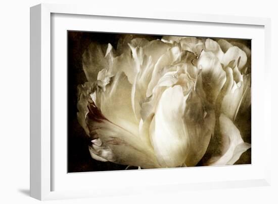 Elegant Peony I-Christine Zalewski-Framed Premium Giclee Print