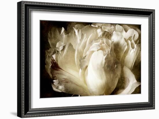 Elegant Peony I-Christine Zalewski-Framed Premium Giclee Print