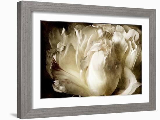 Elegant Peony I-Christine Zalewski-Framed Art Print