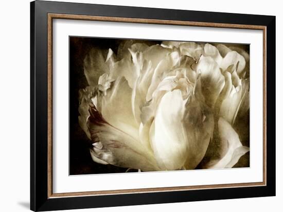 Elegant Peony I-Christine Zalewski-Framed Art Print