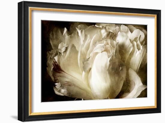 Elegant Peony I-Christine Zalewski-Framed Art Print