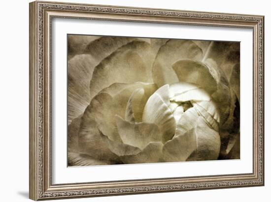 Elegant Peony II-Christine Zalewski-Framed Art Print