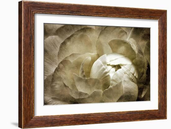 Elegant Peony II-Christine Zalewski-Framed Art Print