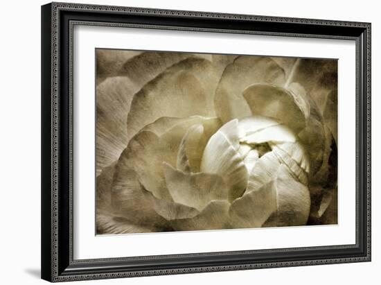 Elegant Peony II-Christine Zalewski-Framed Art Print