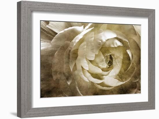 Elegant Peony III-Christine Zalewski-Framed Art Print