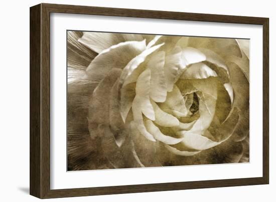 Elegant Peony III-Christine Zalewski-Framed Art Print