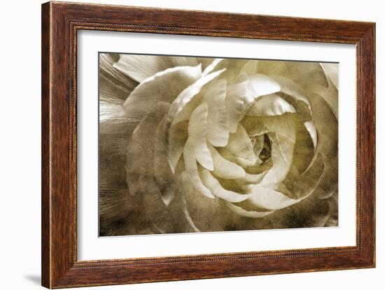 Elegant Peony III-Christine Zalewski-Framed Art Print