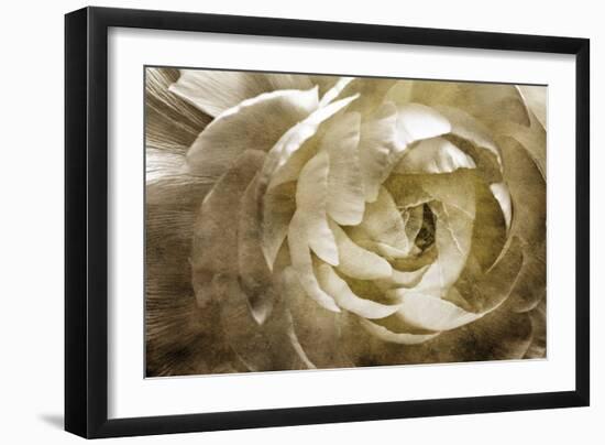 Elegant Peony III-Christine Zalewski-Framed Art Print