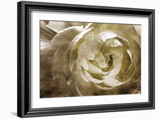 Elegant Peony III-Christine Zalewski-Framed Art Print