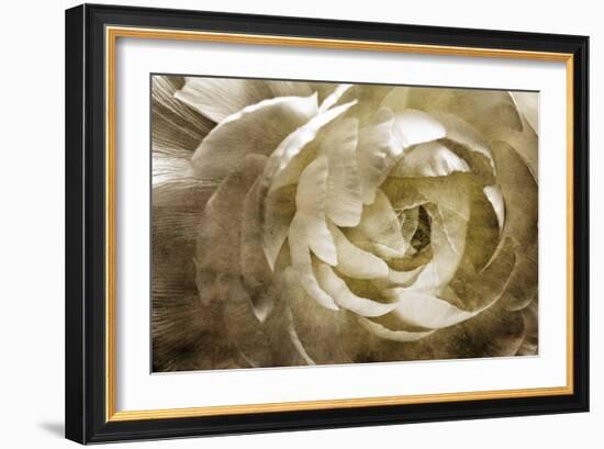 Elegant Peony III-Christine Zalewski-Framed Art Print