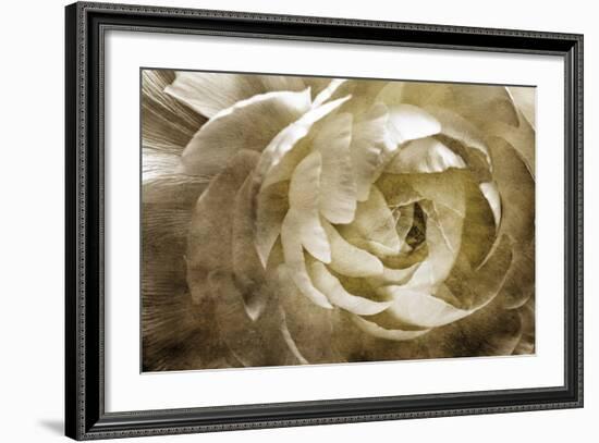 Elegant Peony III-Christine Zalewski-Framed Art Print