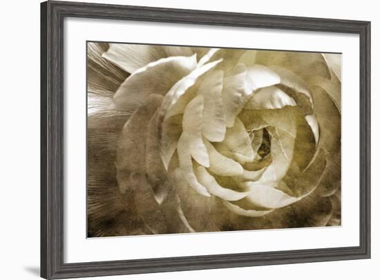 Elegant Peony III-Christine Zalewski-Framed Art Print