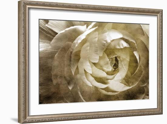 Elegant Peony III-Christine Zalewski-Framed Art Print