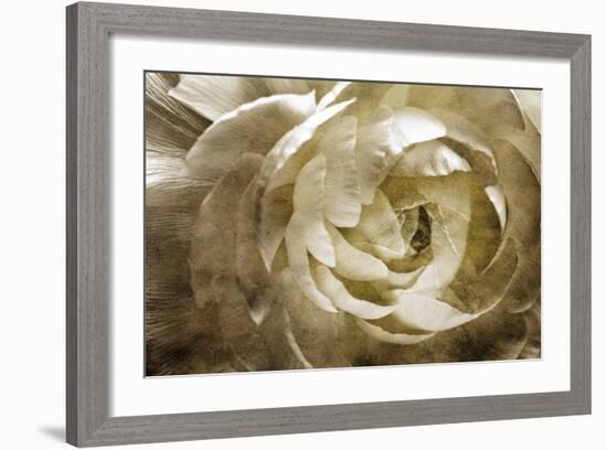 Elegant Peony III-Christine Zalewski-Framed Art Print