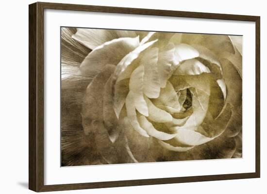 Elegant Peony III-Christine Zalewski-Framed Art Print