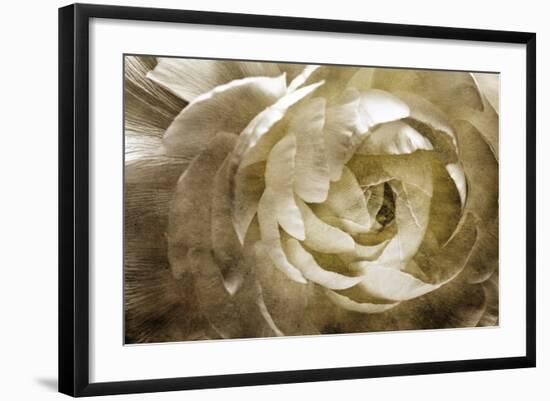 Elegant Peony III-Christine Zalewski-Framed Art Print