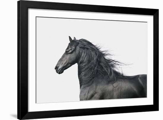 Elegant Power-Irene Suchocki-Framed Giclee Print