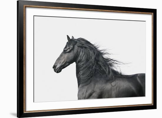 Elegant Power-Irene Suchocki-Framed Giclee Print