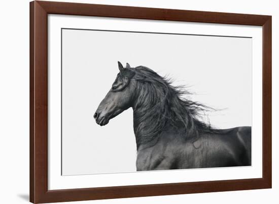 Elegant Power-Irene Suchocki-Framed Giclee Print