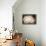 Elegant Ranunculus I-Christine Zalewski-Framed Stretched Canvas displayed on a wall