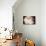 Elegant Ranunculus II-Christine Zalewski-Premium Giclee Print displayed on a wall