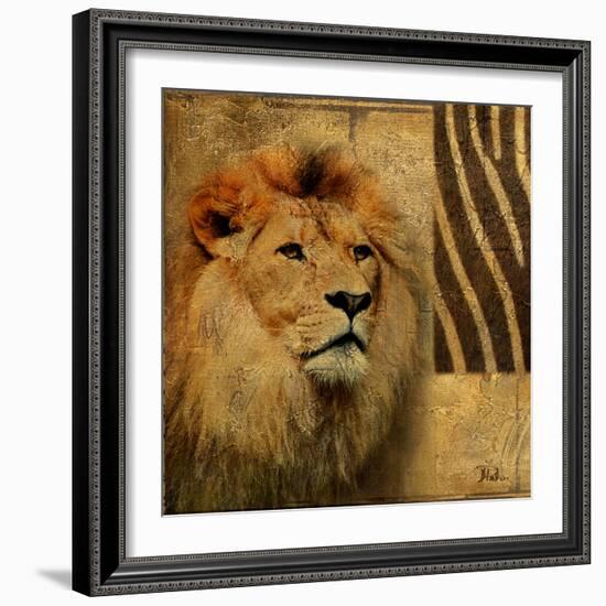 Elegant Safari II (Lion)-Patricia Pinto-Framed Art Print