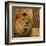 Elegant Safari II (Lion)-Patricia Pinto-Framed Art Print