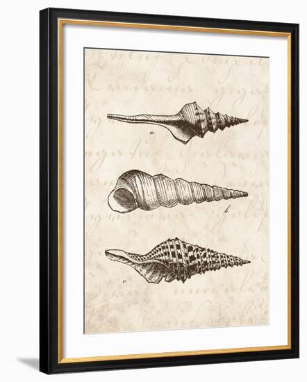 Elegant Shells II-N. Harbick-Framed Art Print
