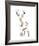 Elegant Stag-Kellas Campbell-Framed Giclee Print