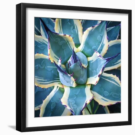 Elegant Thorns-Jan Bell-Framed Photographic Print