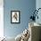 Elegant Trogons V-John Gould-Framed Stretched Canvas displayed on a wall