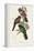Elegant Trogons V-John Gould-Framed Stretched Canvas