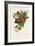 Elegant Trogons VIII-John Gould-Framed Art Print