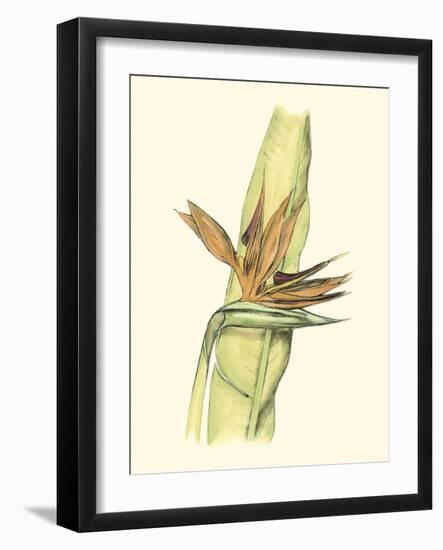 Elegant Tropics I-Jennifer Goldberger-Framed Art Print