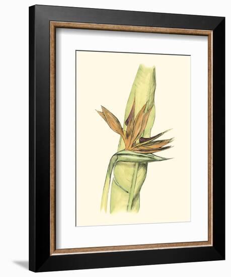 Elegant Tropics I-Jennifer Goldberger-Framed Premium Giclee Print
