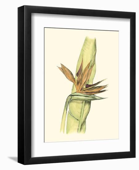 Elegant Tropics I-Jennifer Goldberger-Framed Premium Giclee Print