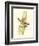 Elegant Tropics I-Jennifer Goldberger-Framed Premium Giclee Print