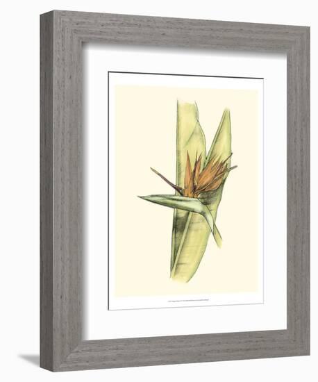 Elegant Tropics II-Jennifer Goldberger-Framed Premium Giclee Print