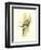 Elegant Tropics II-Jennifer Goldberger-Framed Premium Giclee Print