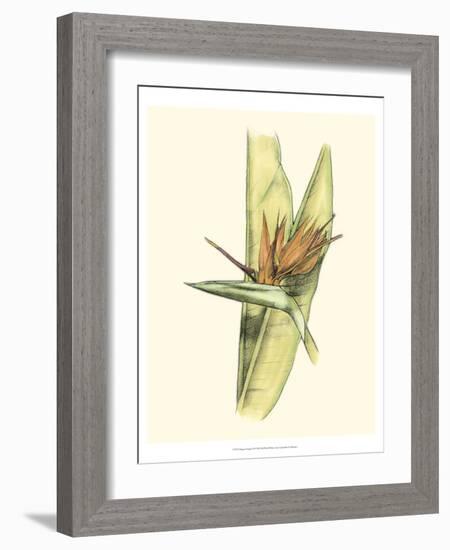 Elegant Tropics II-Jennifer Goldberger-Framed Art Print