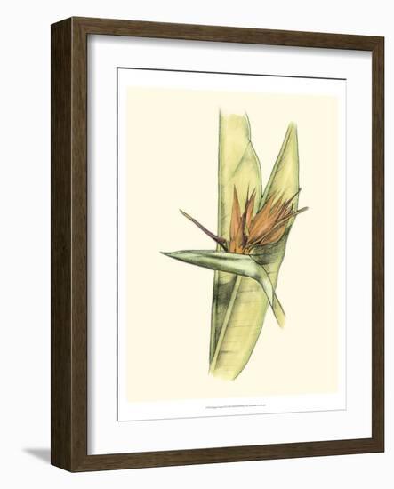 Elegant Tropics II-Jennifer Goldberger-Framed Art Print